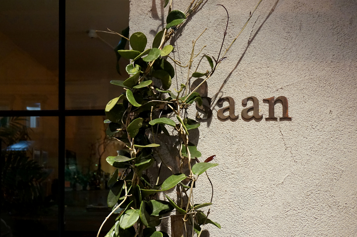 Saan-website-image8