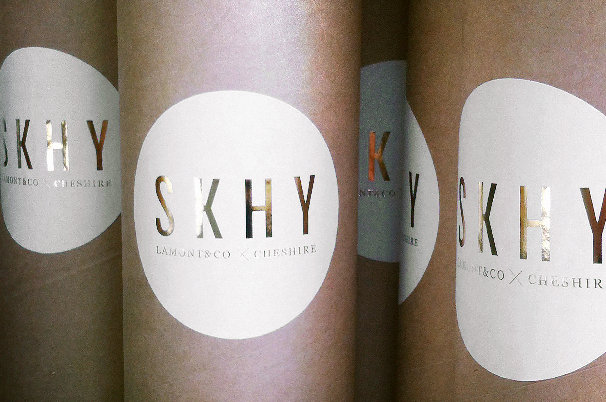 SKHY-1-website-image-12